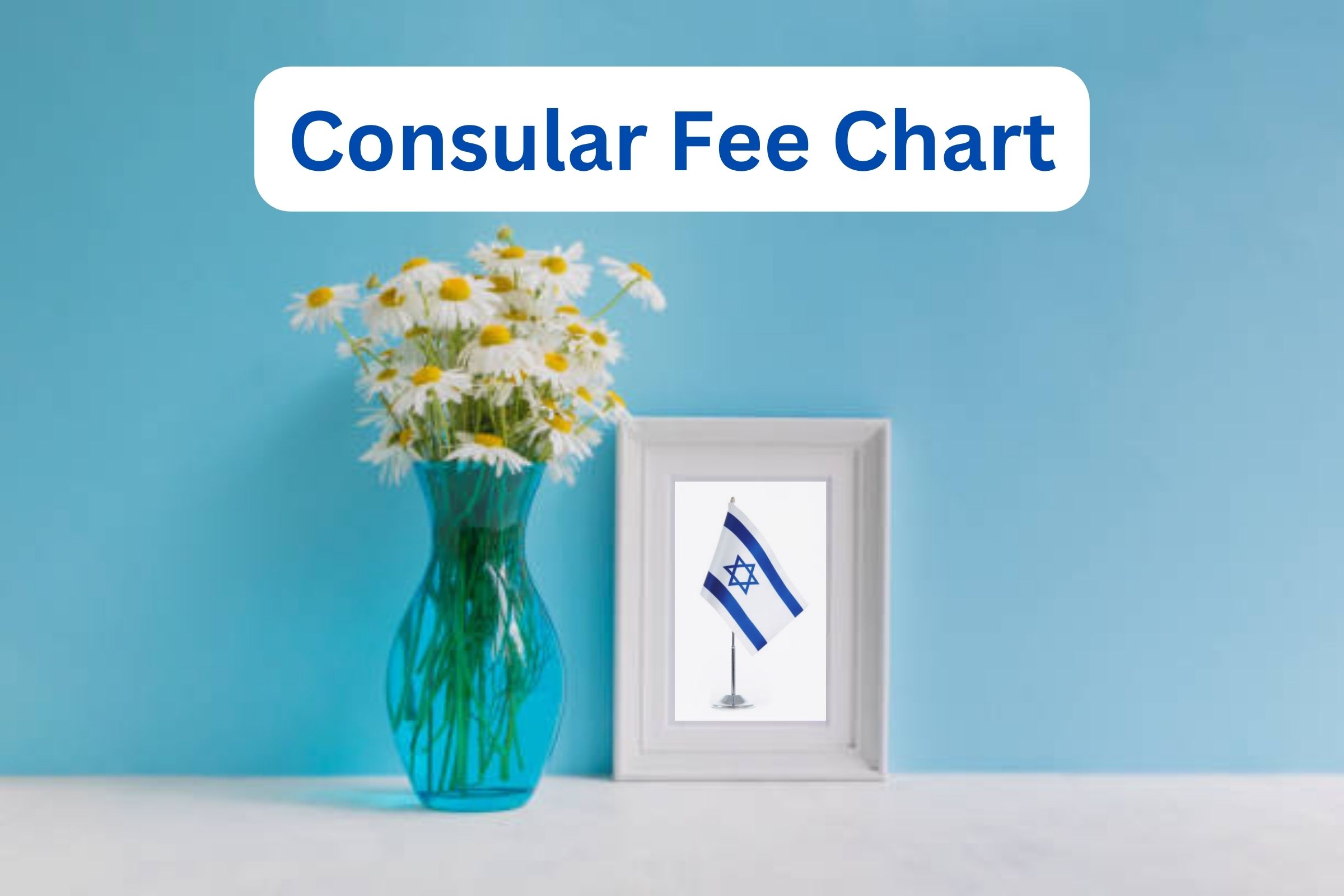 Consular Fee Chart 